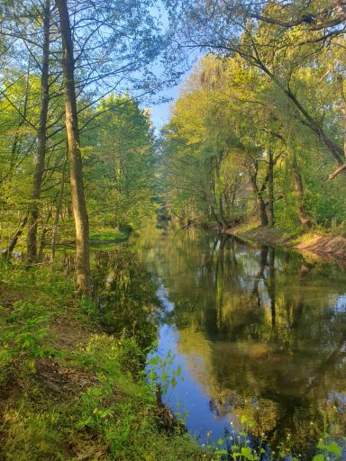 Idylle am Hammergraben