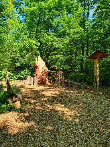 Murmelbahn am Hammergraben